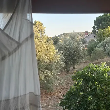 A Cozy In - Quinta Da Cachopa Tatil Evi