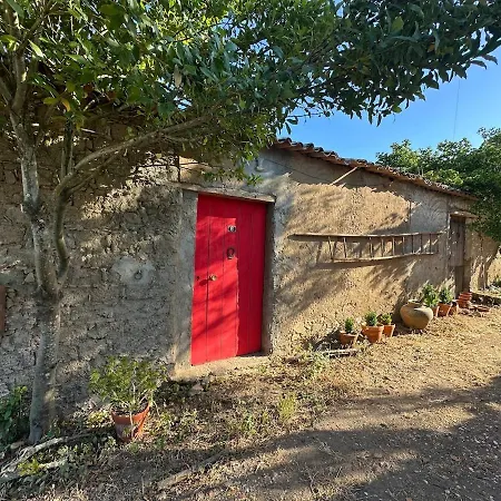 A Cozy In - Quinta Da Cachopa *