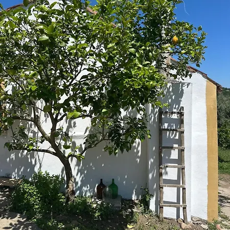 A Cozy In - Quinta Da Cachopa Tatil Evi