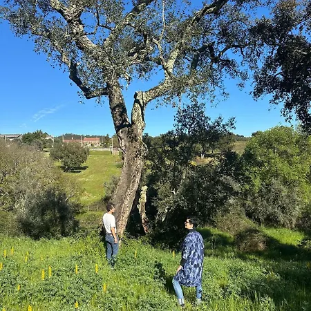 A Cozy In - Quinta Da Cachopa *
