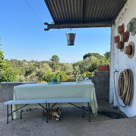 A Cozy In - Quinta Da Cachopa Tatil Evi *