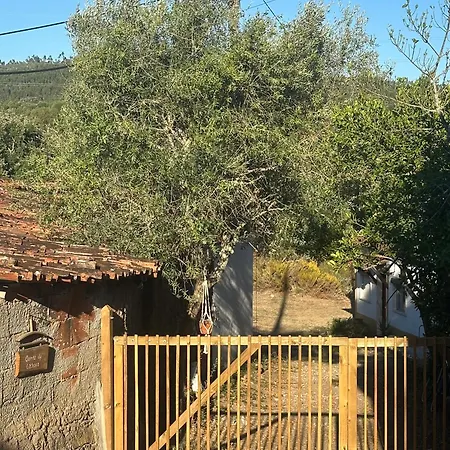 A Cozy In - Quinta Da Cachopa